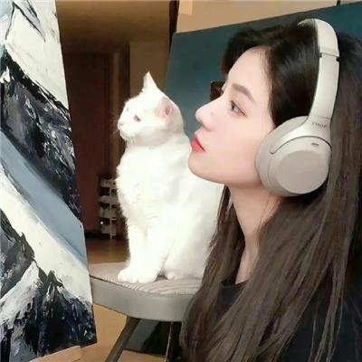 没有窗户的房子